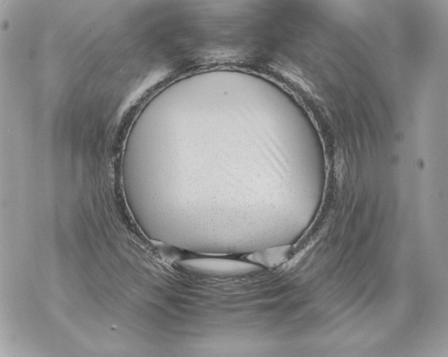 X0000070391309200607072209