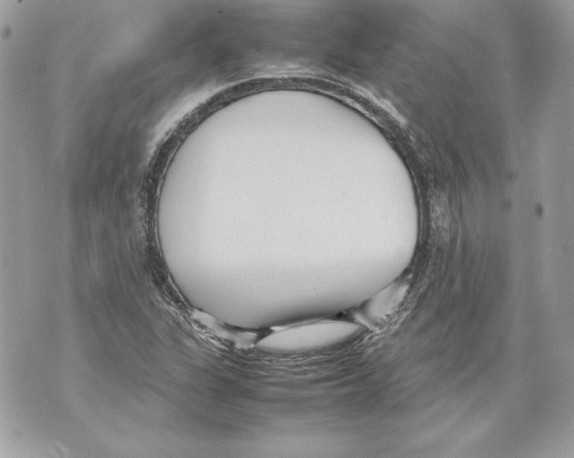 X0000070391311200607072209