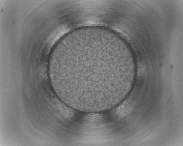 X0000070391314200607072209