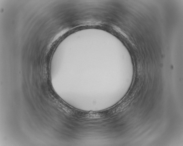 X0000070391315200607072209