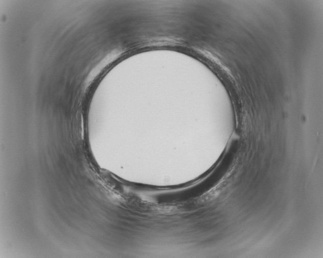 X0000070391317200607072209