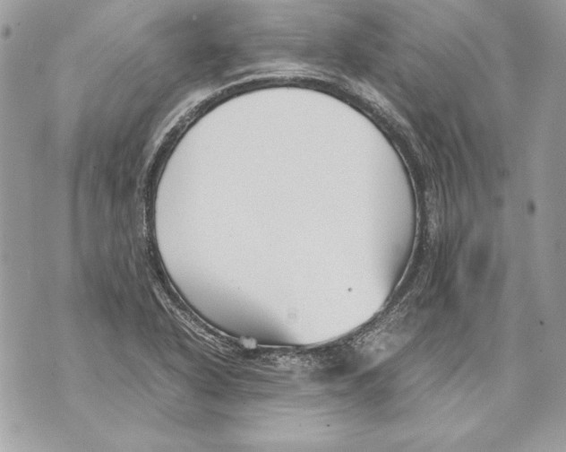 X0000070391318200607072209