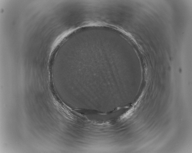 X0000070391319200607072209