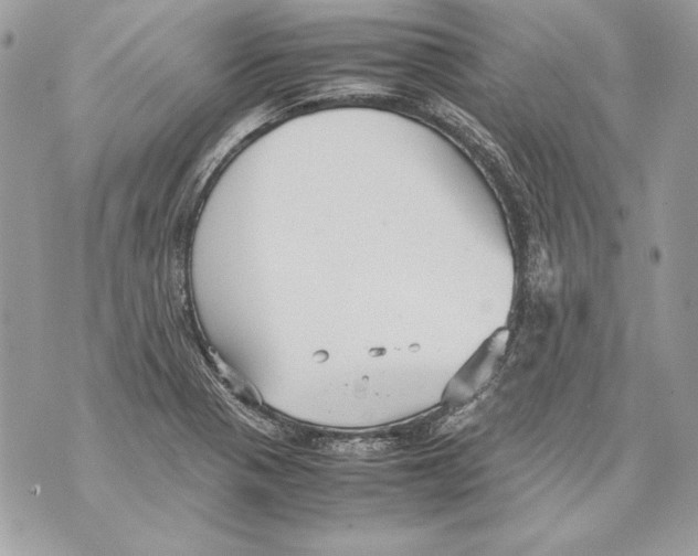 X0000070391321200607072209