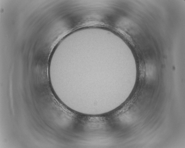 X0000070391322200607072209