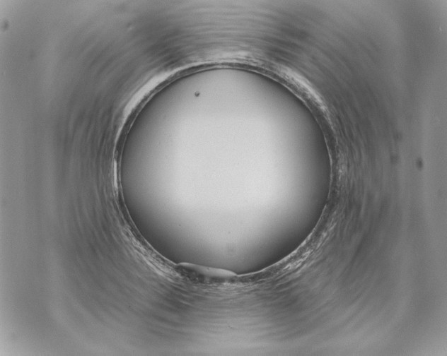 X0000070391324200607072209