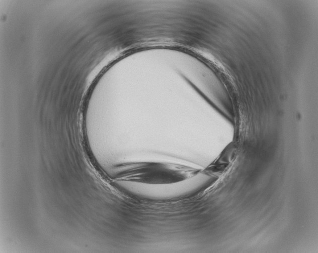 X0000070391325200607072209