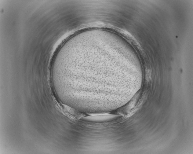 X0000070391326200607072209