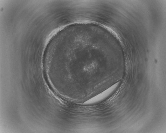 X0000070391327200607072209