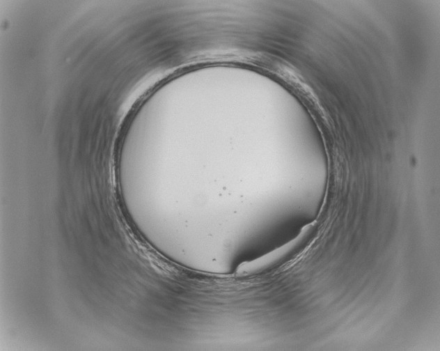 X0000070391328200607072209