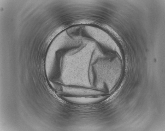 X0000070391329200607072209