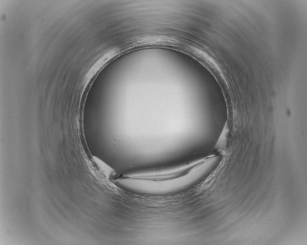 X0000070391330200607072209