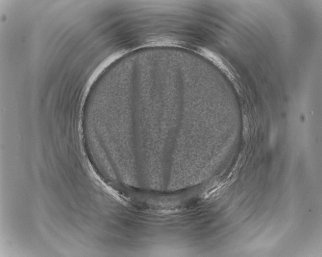 X0000070391331200607072209