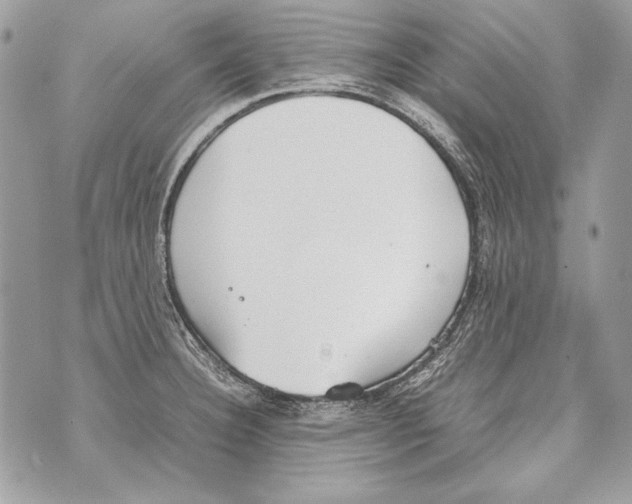 X0000070391332200607072209