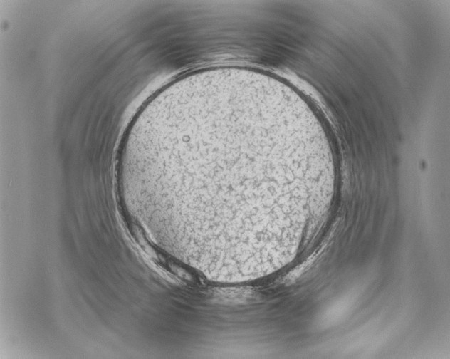 X0000070391333200607072209