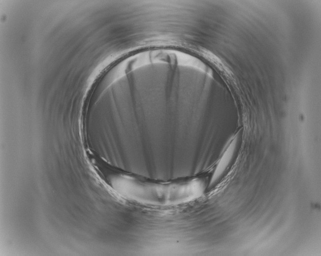 X0000070391334200607072209