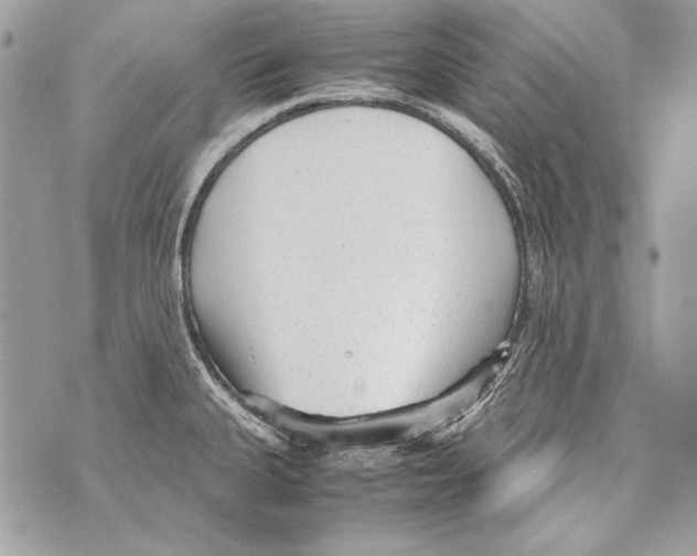 X0000070391335200607072209