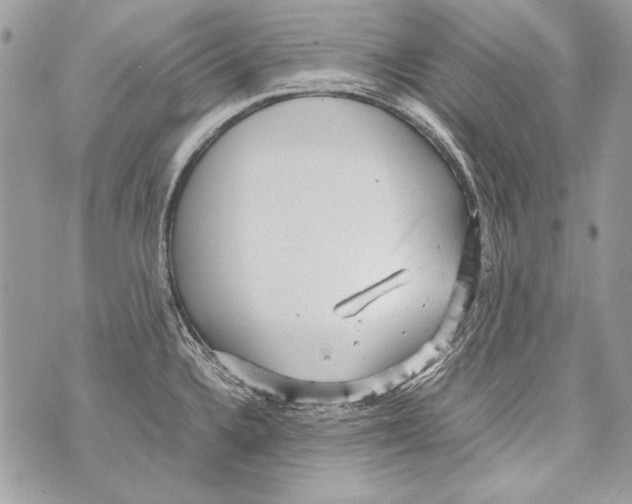 X0000070391336200607072209