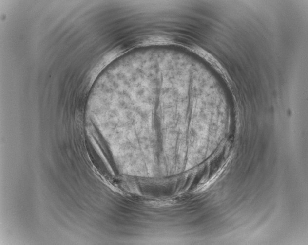 X0000070391337200607072209