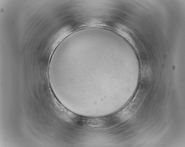 X0000070391338200607072209