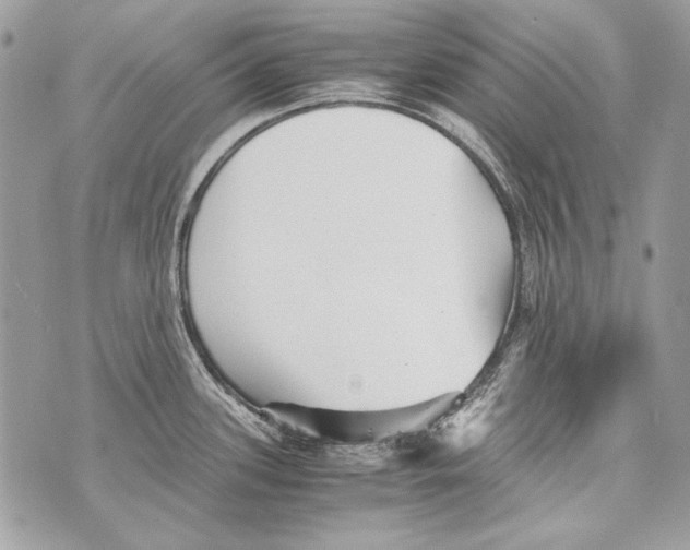 X0000070391339200607072209