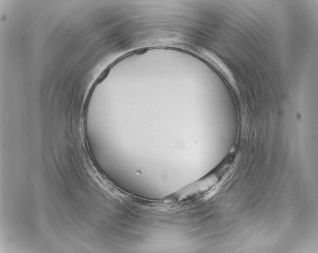 X0000070391340200607072209