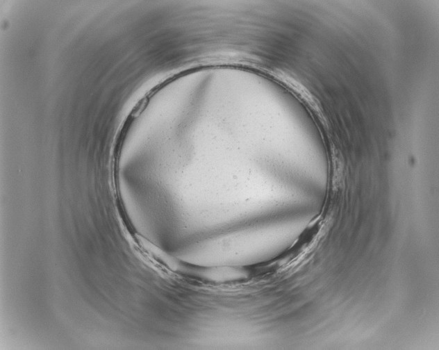 X0000070391342200607072209