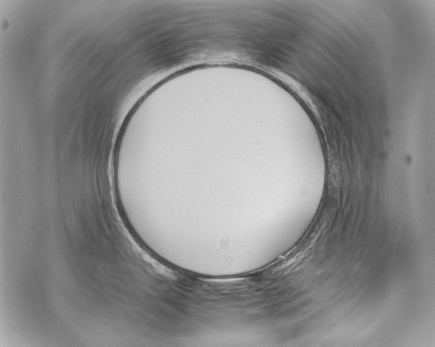 X0000070391343200607072209