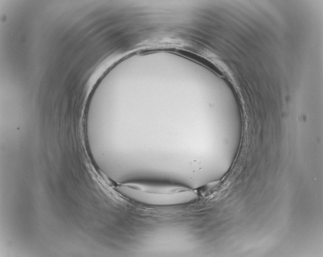 X0000070391344200607072209