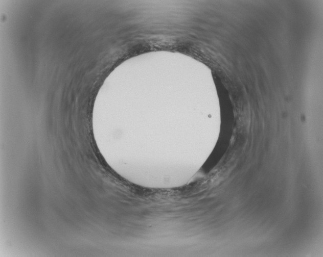 X0000070391345200607072209