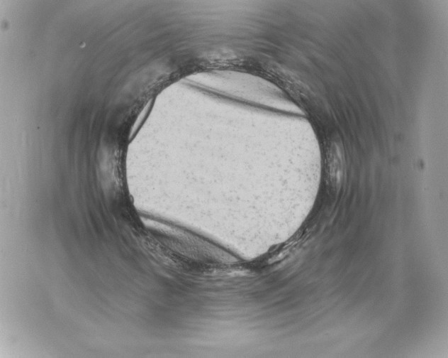 X0000070391346200607072209