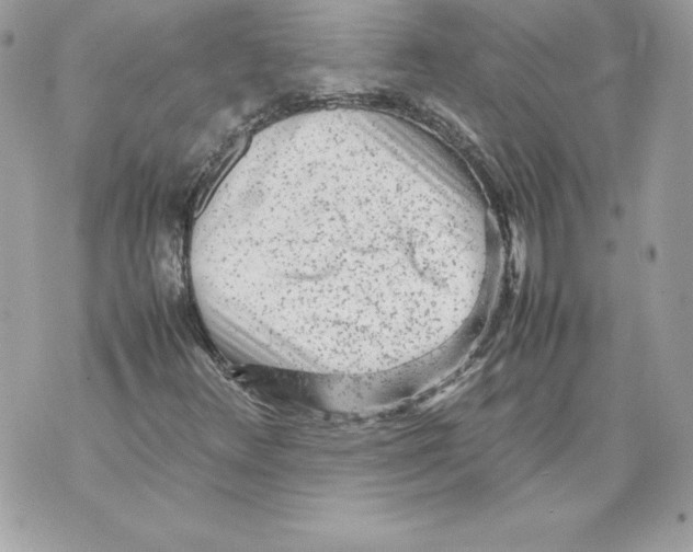 X0000070391348200607072209