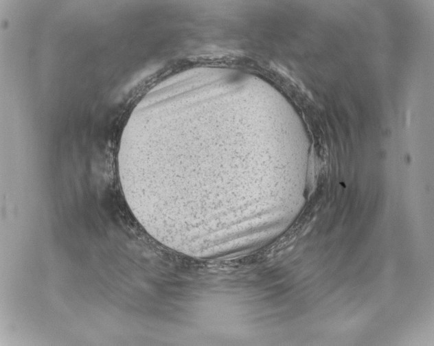 X0000070391350200607072209