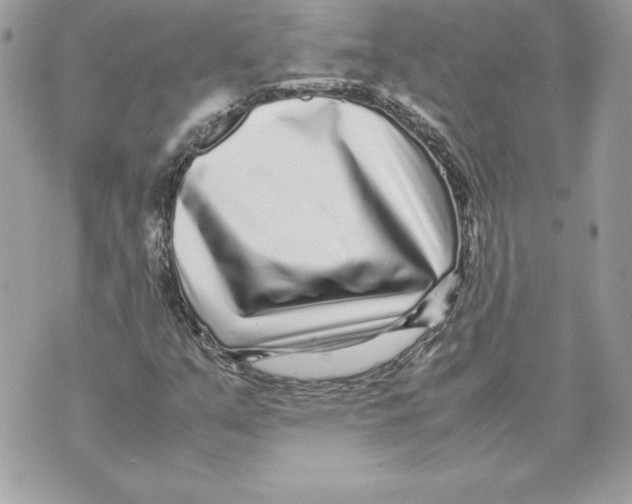 X0000070391351200607072209