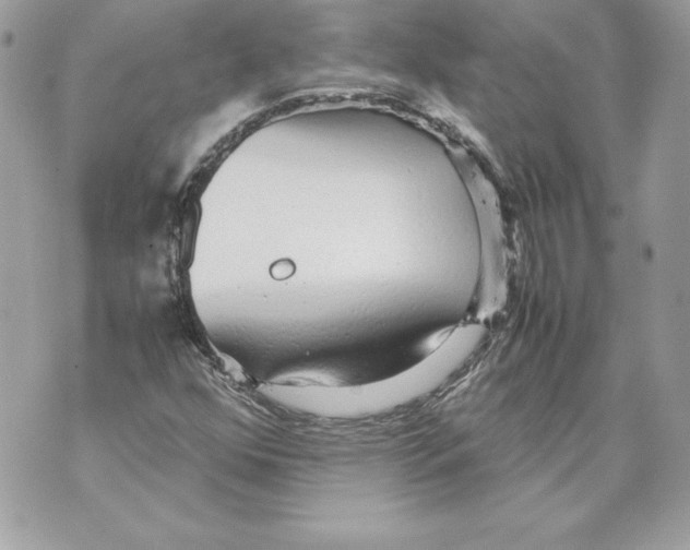 X0000070391352200607072209