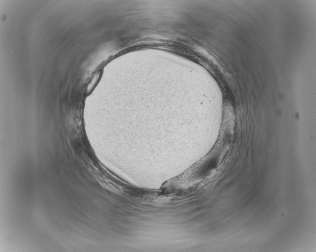 X0000070391355200607072209