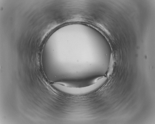 X0000070391356200607072208