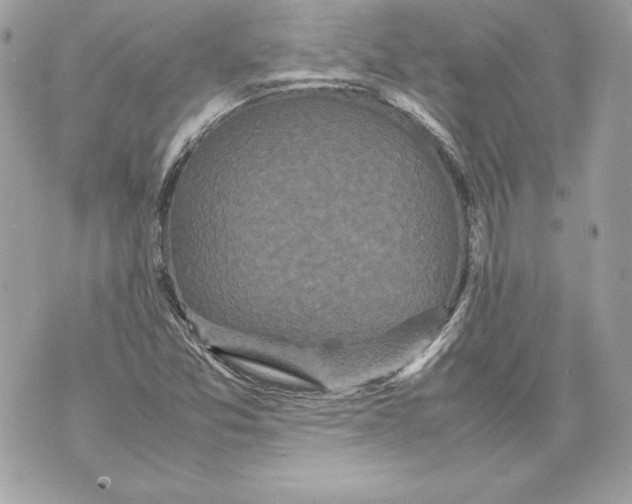 X0000070391357200607072208