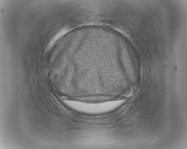 X0000070391359200607072208