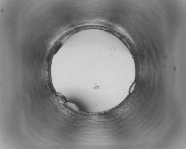 X0000070391360200607072208