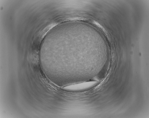 X0000070391361200607072208