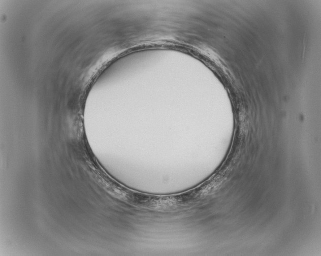 X0000070391363200607072208