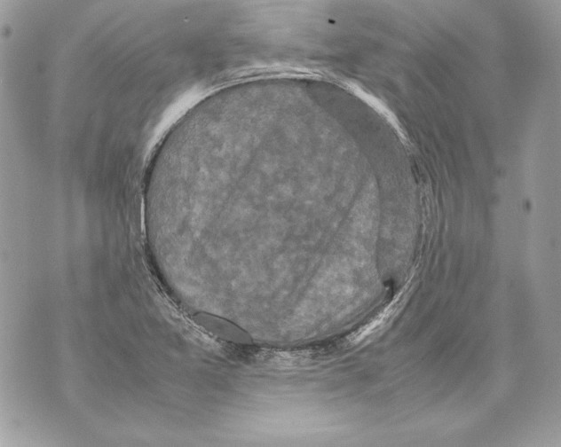 X0000070391365200607072208