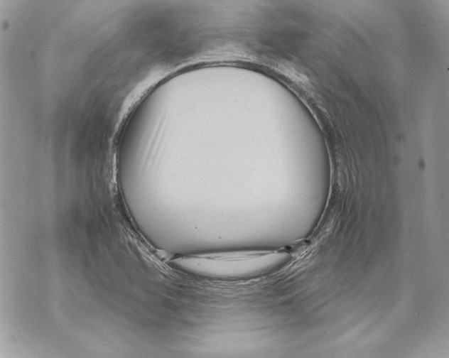 X0000070391366200607072208