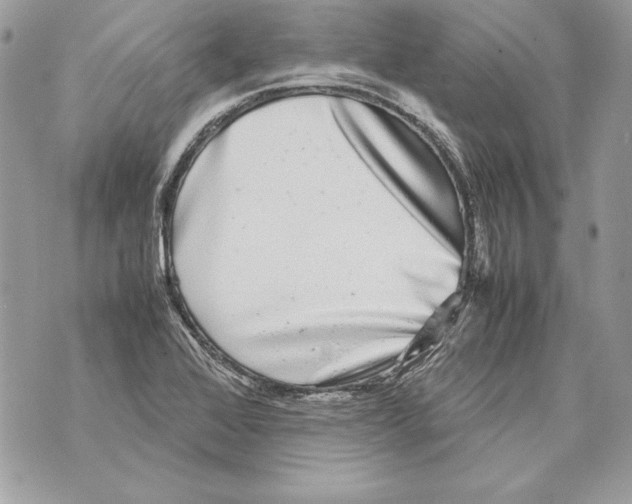 X0000070391368200607072208