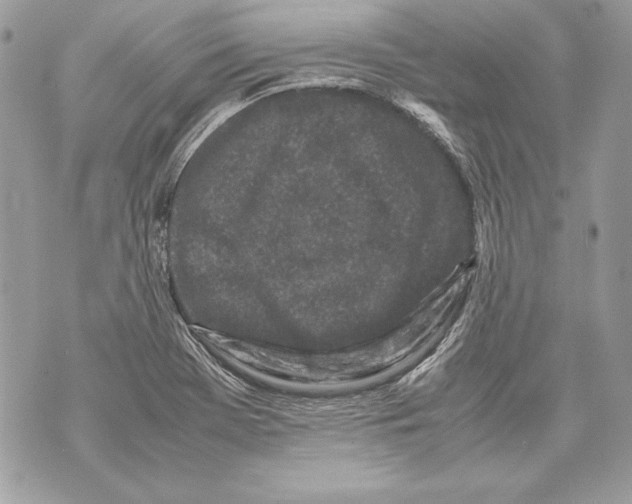 X0000070391369200607072208