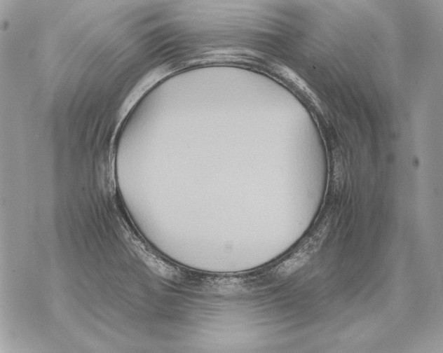 X0000070391370200607072208