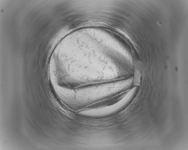 X0000070391371200607072208