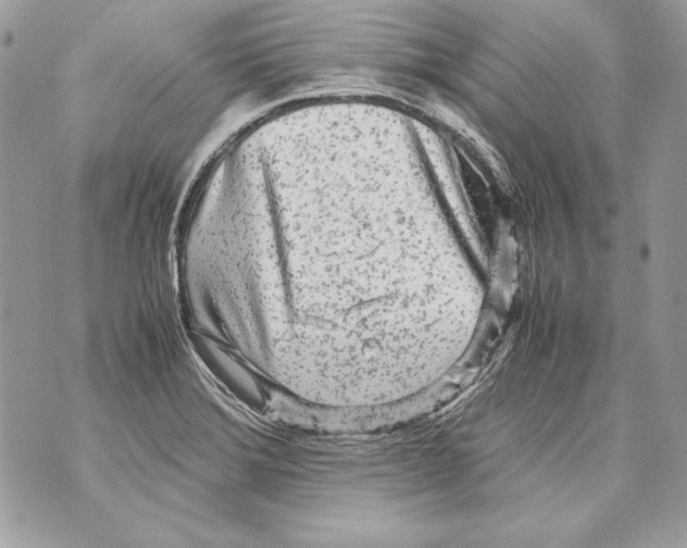 X0000070391372200607072208