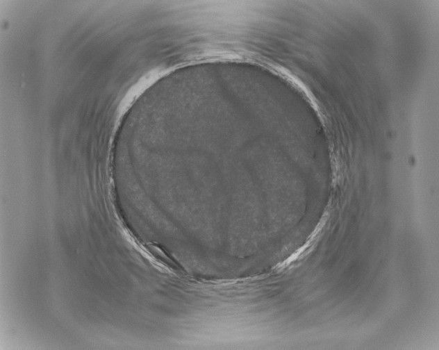 X0000070391373200607072208